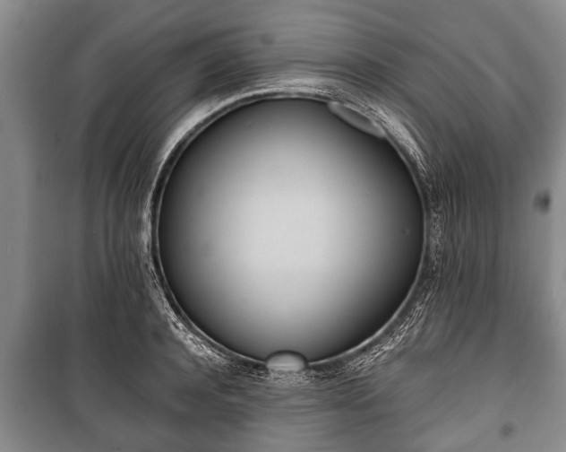 X0000100770944200806261540