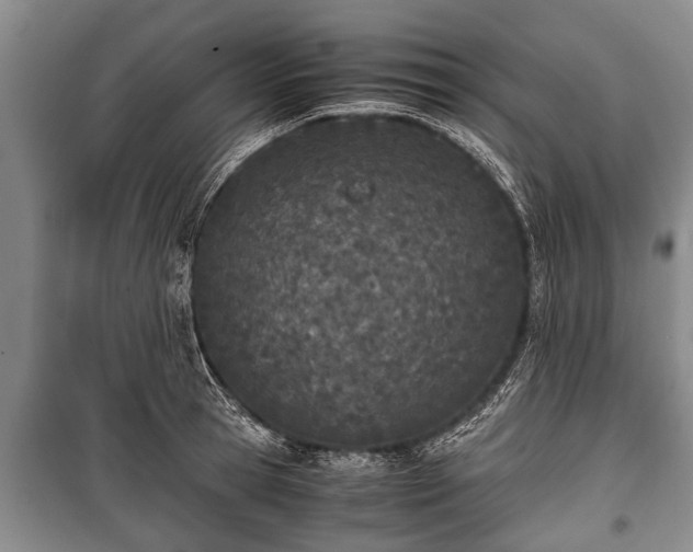 X0000100770945200806261540