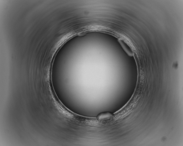X0000100770946200806261540