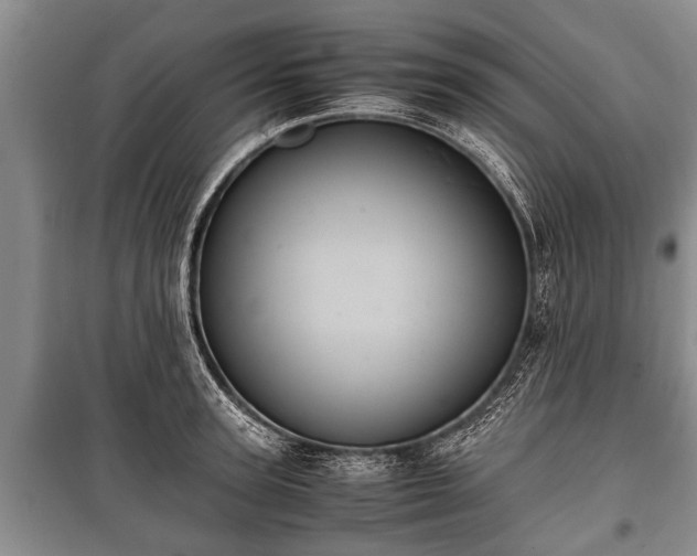 X0000100770947200806261540