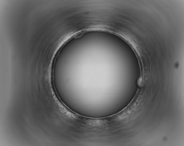 X0000100770949200806261540