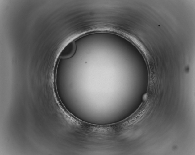 X0000100770951200806261540