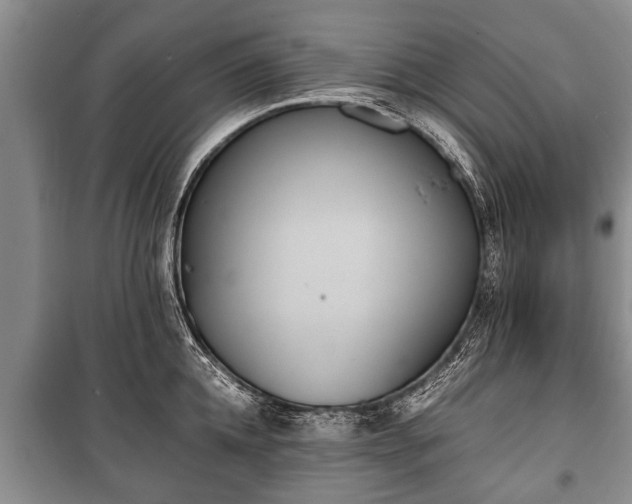 X0000100770952200806261540