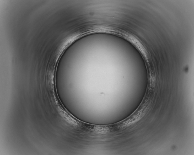 X0000100770954200806261540