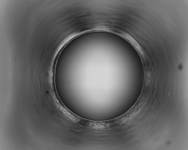 X0000100770955200806261540