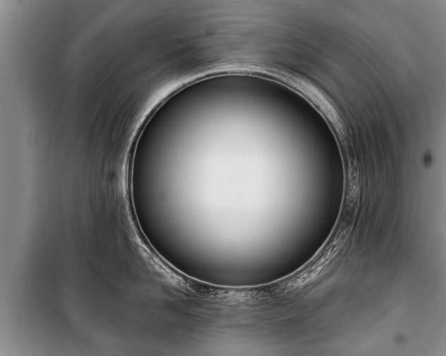 X0000100770958200806261540