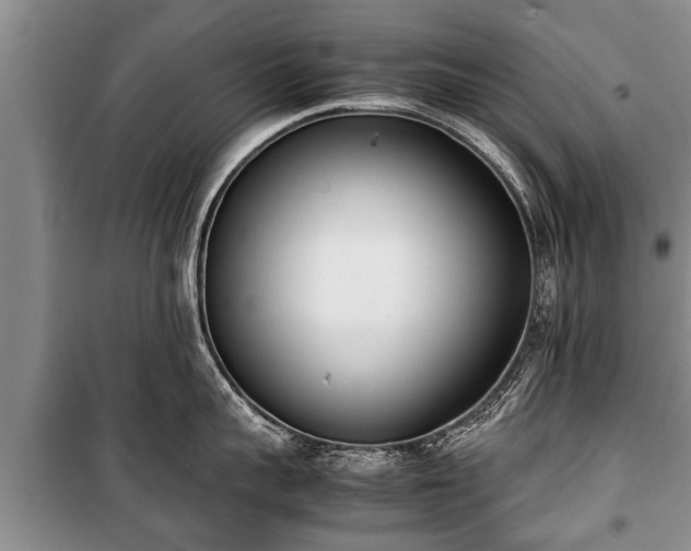 X0000100770959200806261540