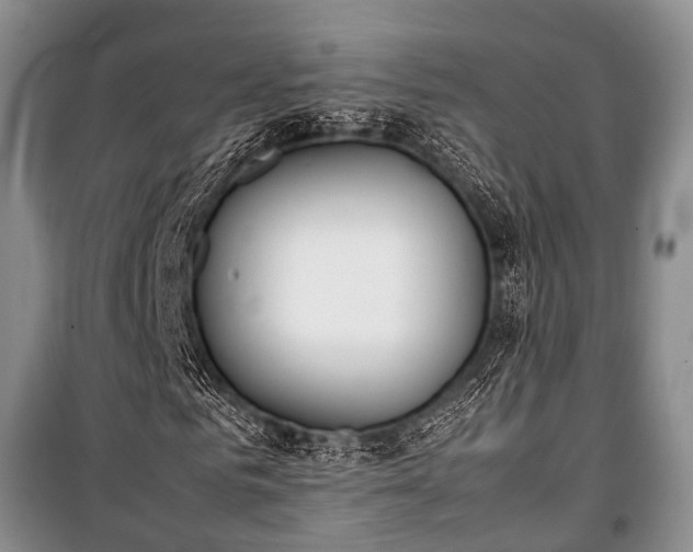X0000100770961200806261539