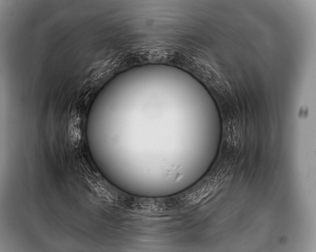 X0000100770962200806261539