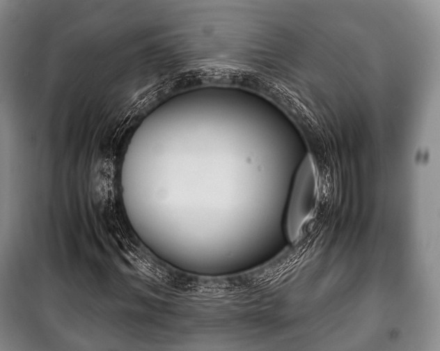 X0000100770964200806261539