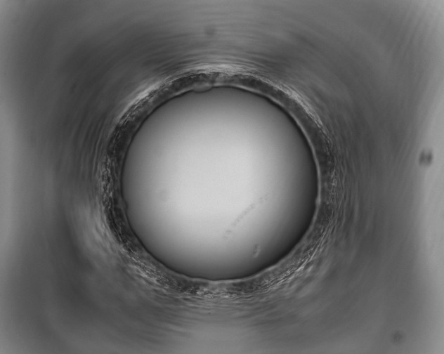 X0000100770967200806261539