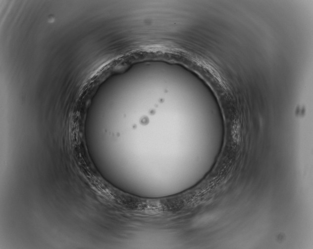 X0000100770968200806261539