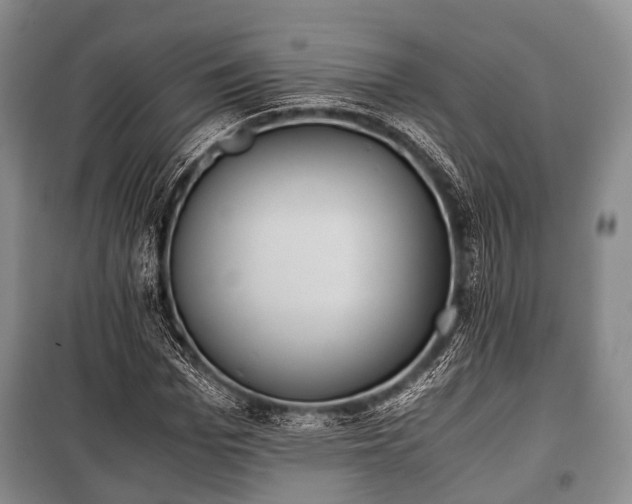 X0000100770969200806261539