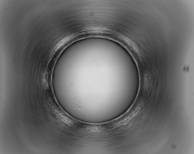 X0000100770970200806261539
