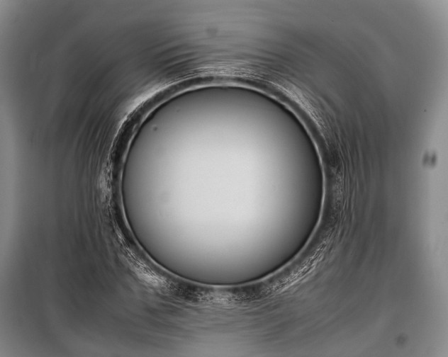X0000100770971200806261539