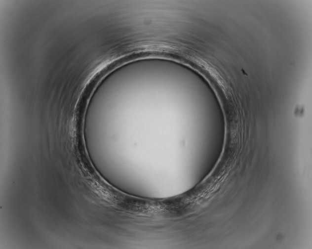 X0000100770975200806261539