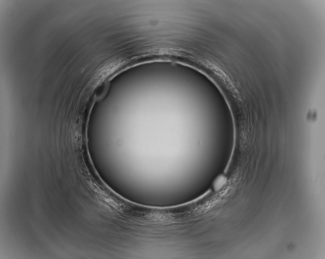 X0000100770977200806261539