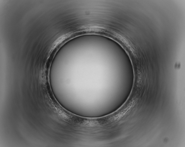 X0000100770978200806261539
