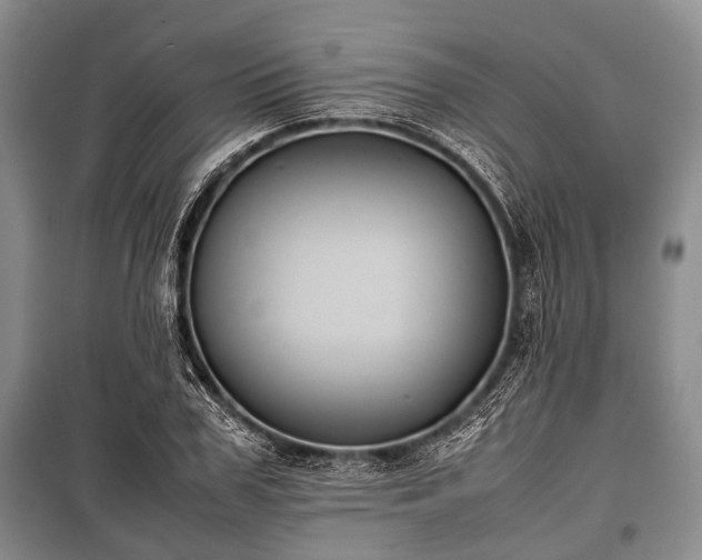 X0000100770979200806261539