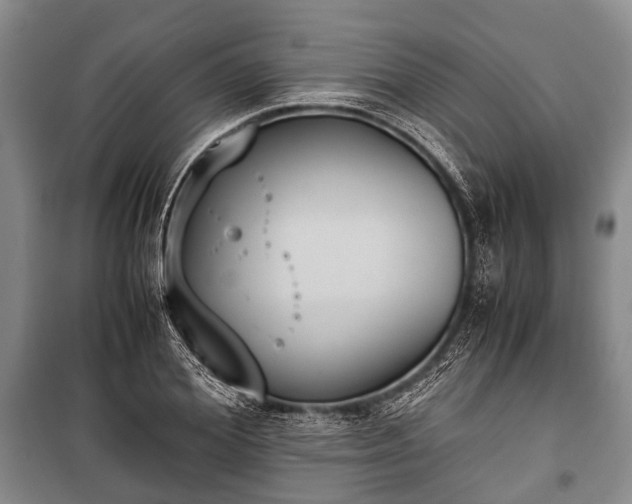 X0000100770980200806261539