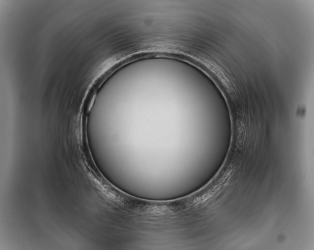 X0000100770982200806261539