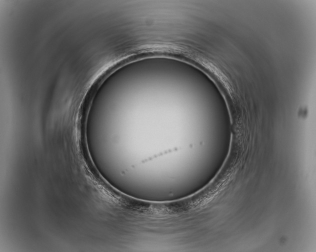 X0000100770983200806261539