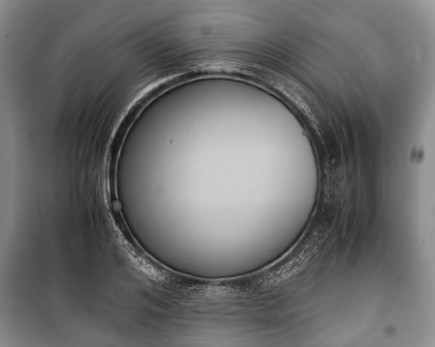 X0000100770984200806261539