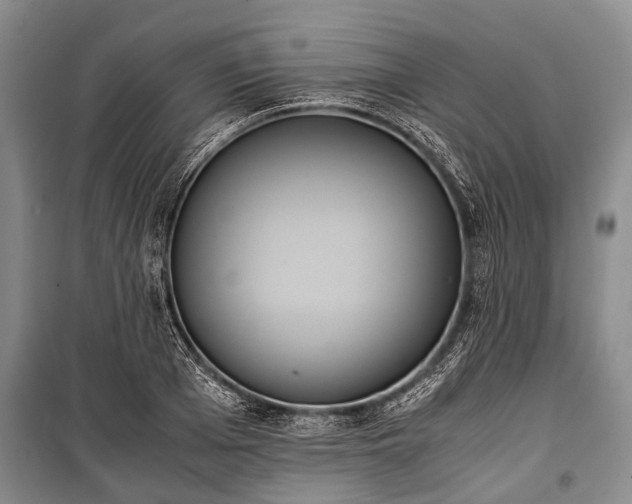 X0000100770985200806261539