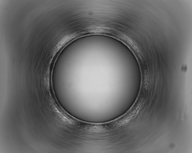 X0000100770986200806261539