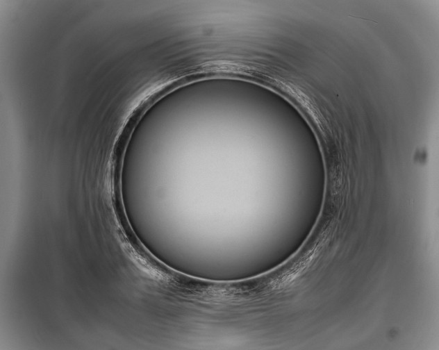 X0000100770987200806261539