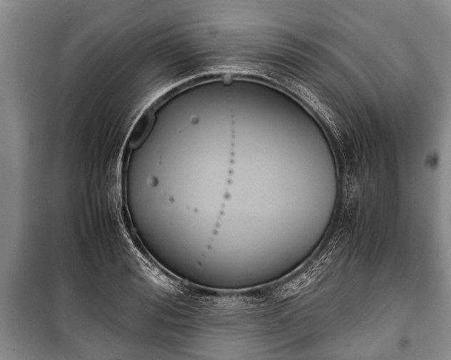 X0000100770988200806261539