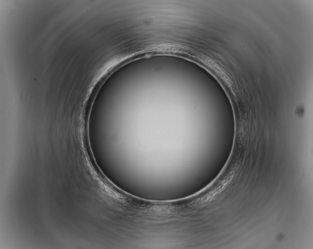 X0000100770989200806261539