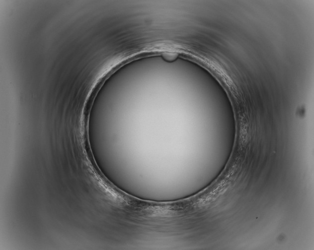 X0000100770990200806261539