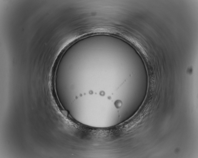 X0000100770991200806261539