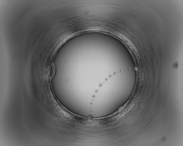 X0000100770993200806261539