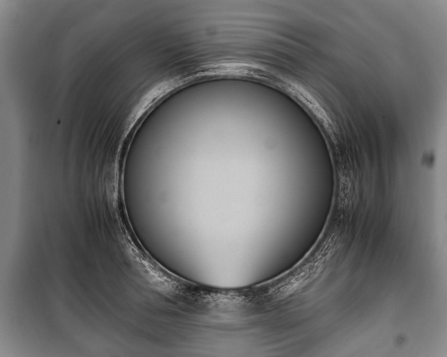 X0000100770994200806261539
