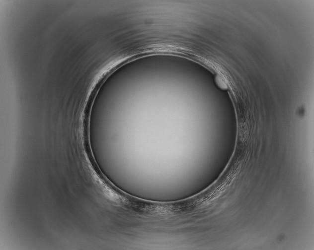X0000100770995200806261539