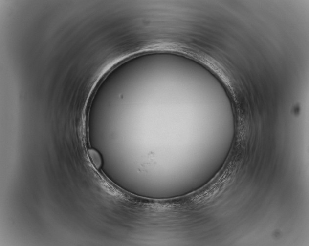 X0000100770996200806261539