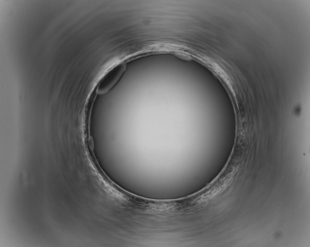X0000100770997200806261539