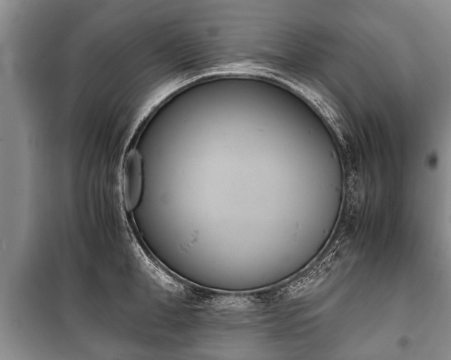 X0000100770998200806261539