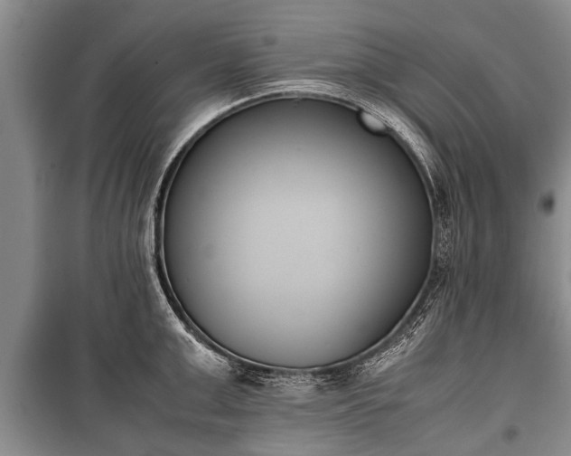 X0000100770999200806261539
