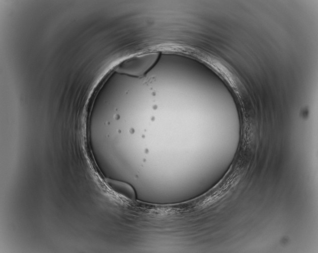 X0000100771000200806261539