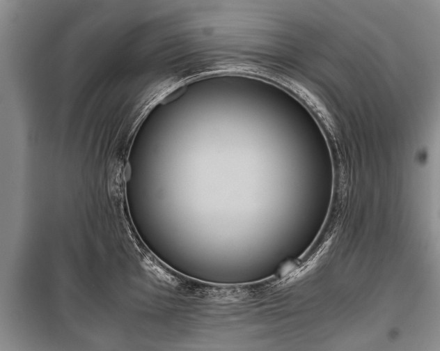 X0000100771001200806261539