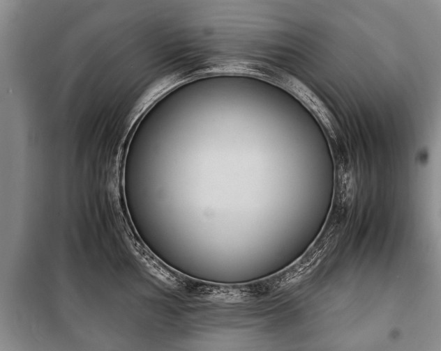 X0000100771002200806261539