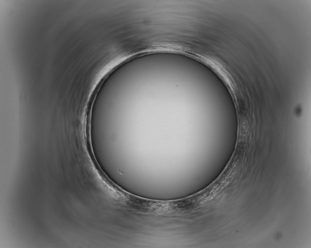 X0000100771003200806261539