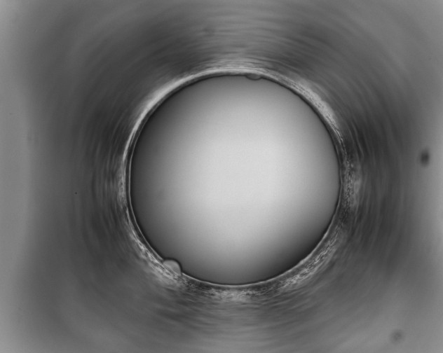 X0000100771004200806261539