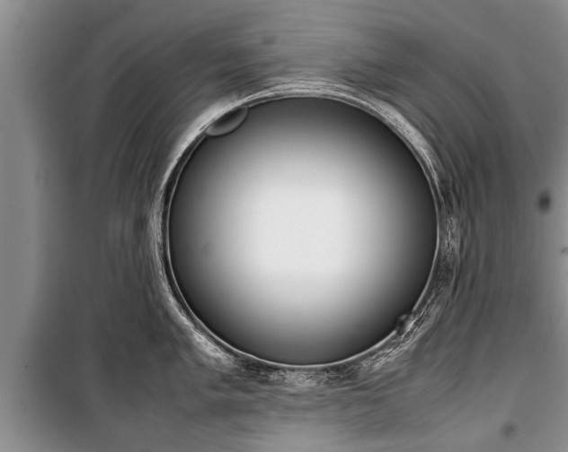 X0000100771005200806261539