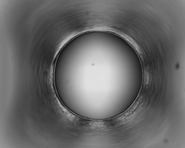 X0000100771006200806261539