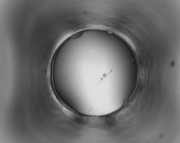 X0000100771007200806261539