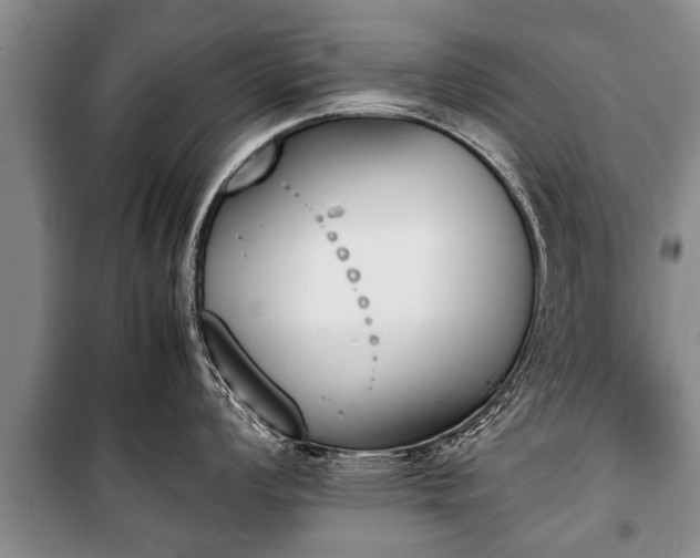 X0000100771008200806261539
